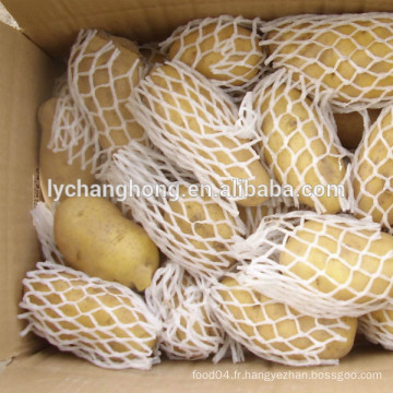 Vente en gros de pommes de terre chinoises chaudes en 2014